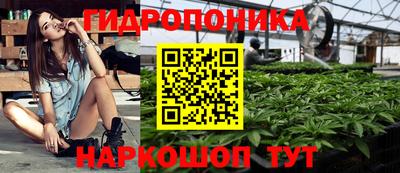apvp Боровичи