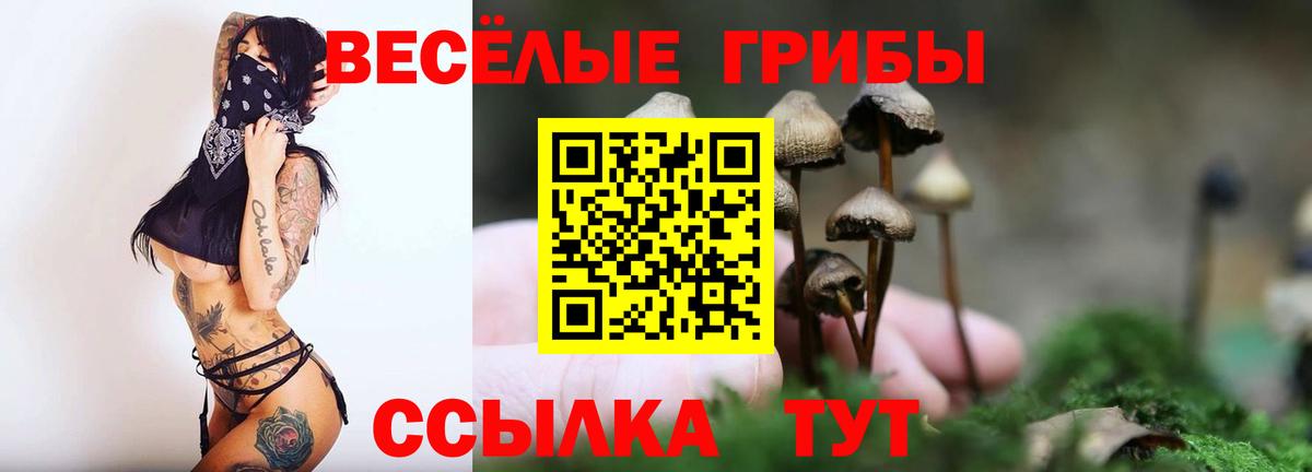 Лянтор  Псилоцибиновые грибы прущие грибы  Псилоцибиновые грибы Cubensis  Вход с VPN 